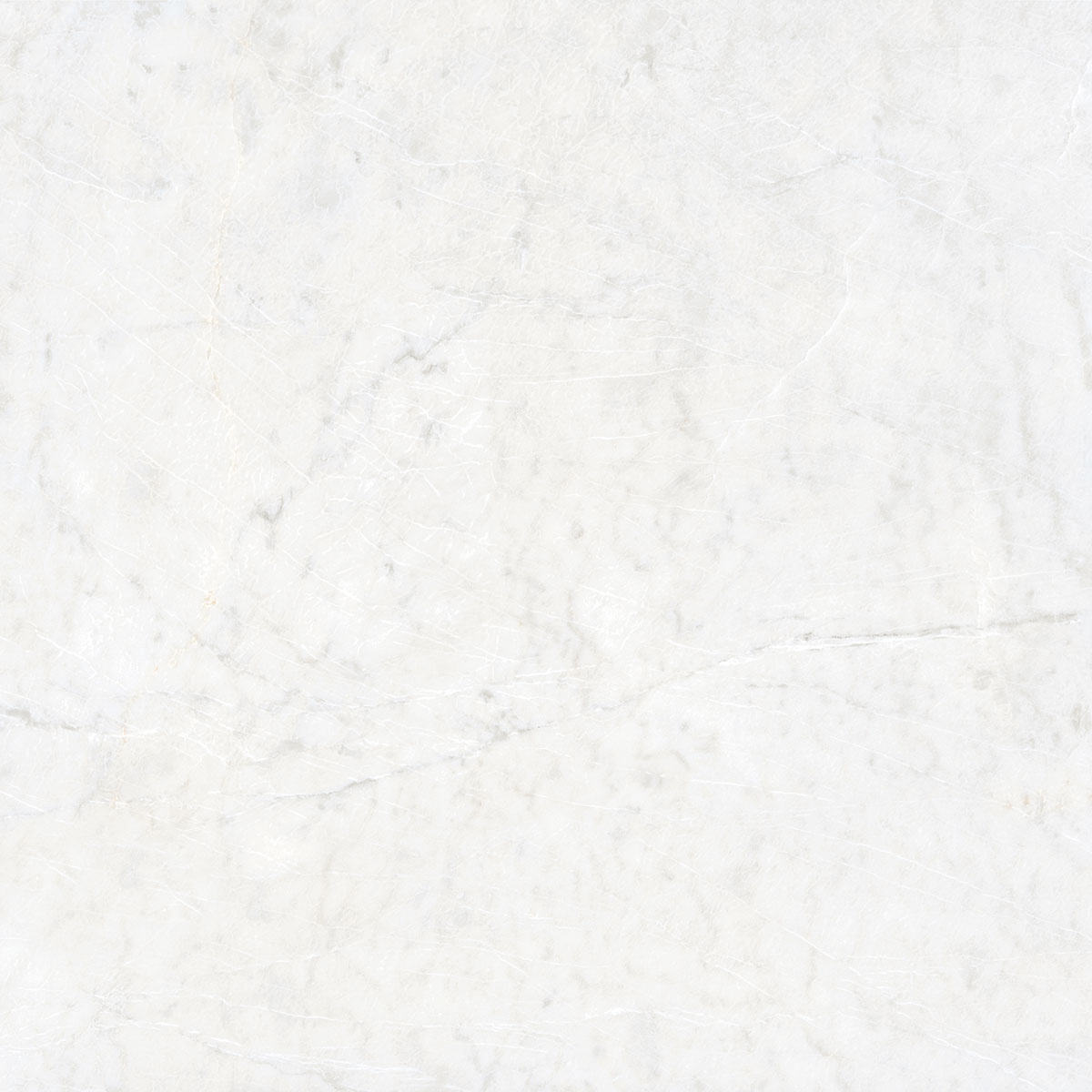 CARRARA CLASSICO