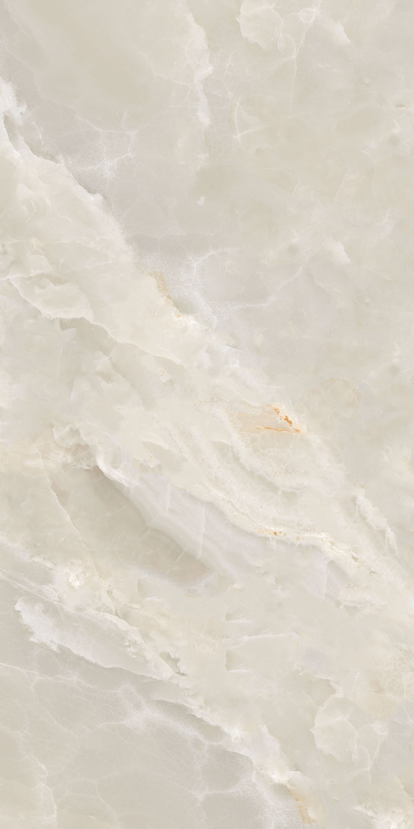 ELEGANT ONYX
