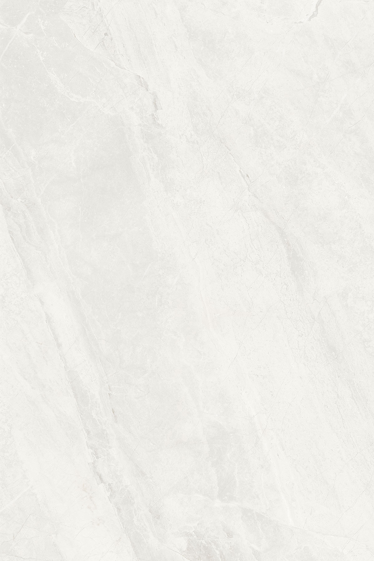 ARIZONA WHITE