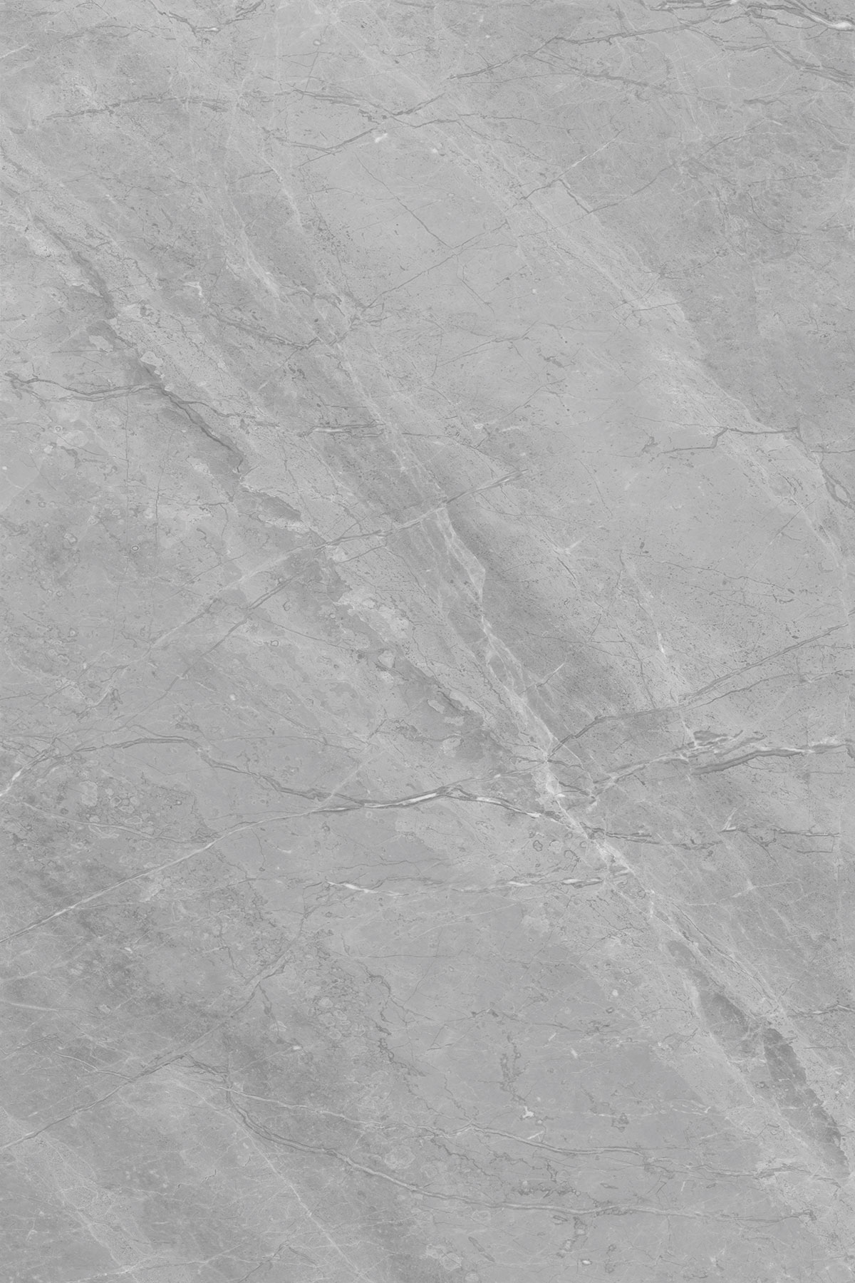 BELITE GREY
