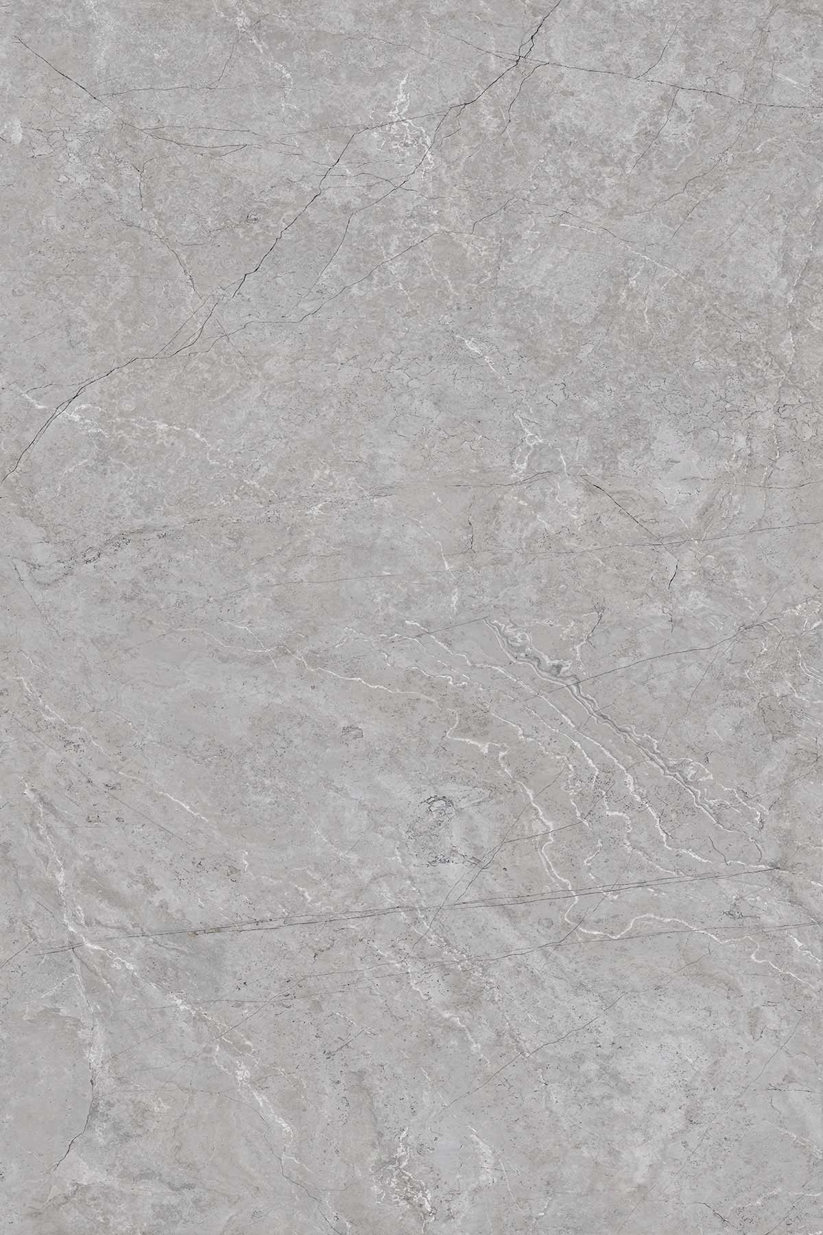 CARDOSIA GREY