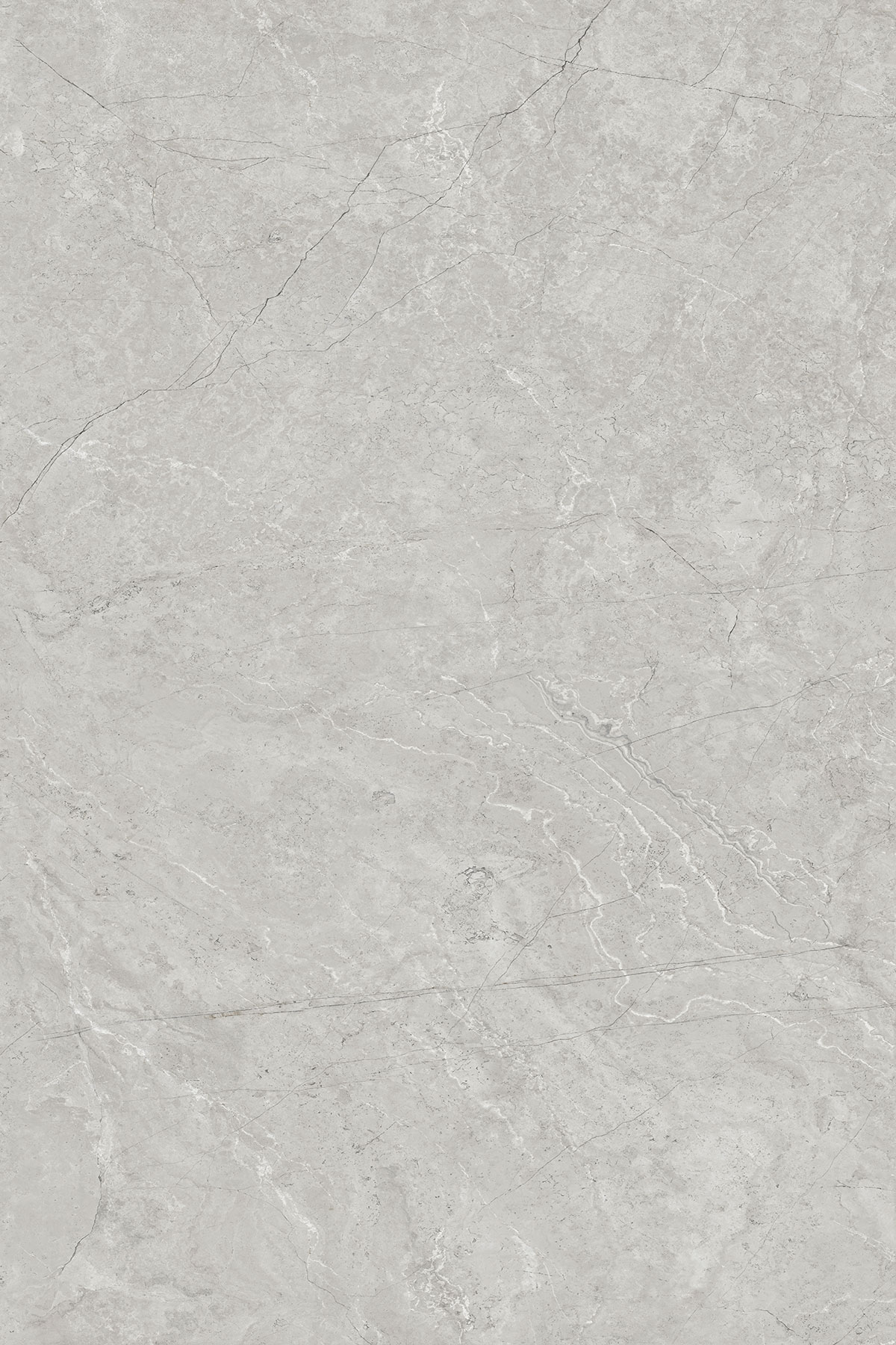 CARDOSIA LIGHT GREY