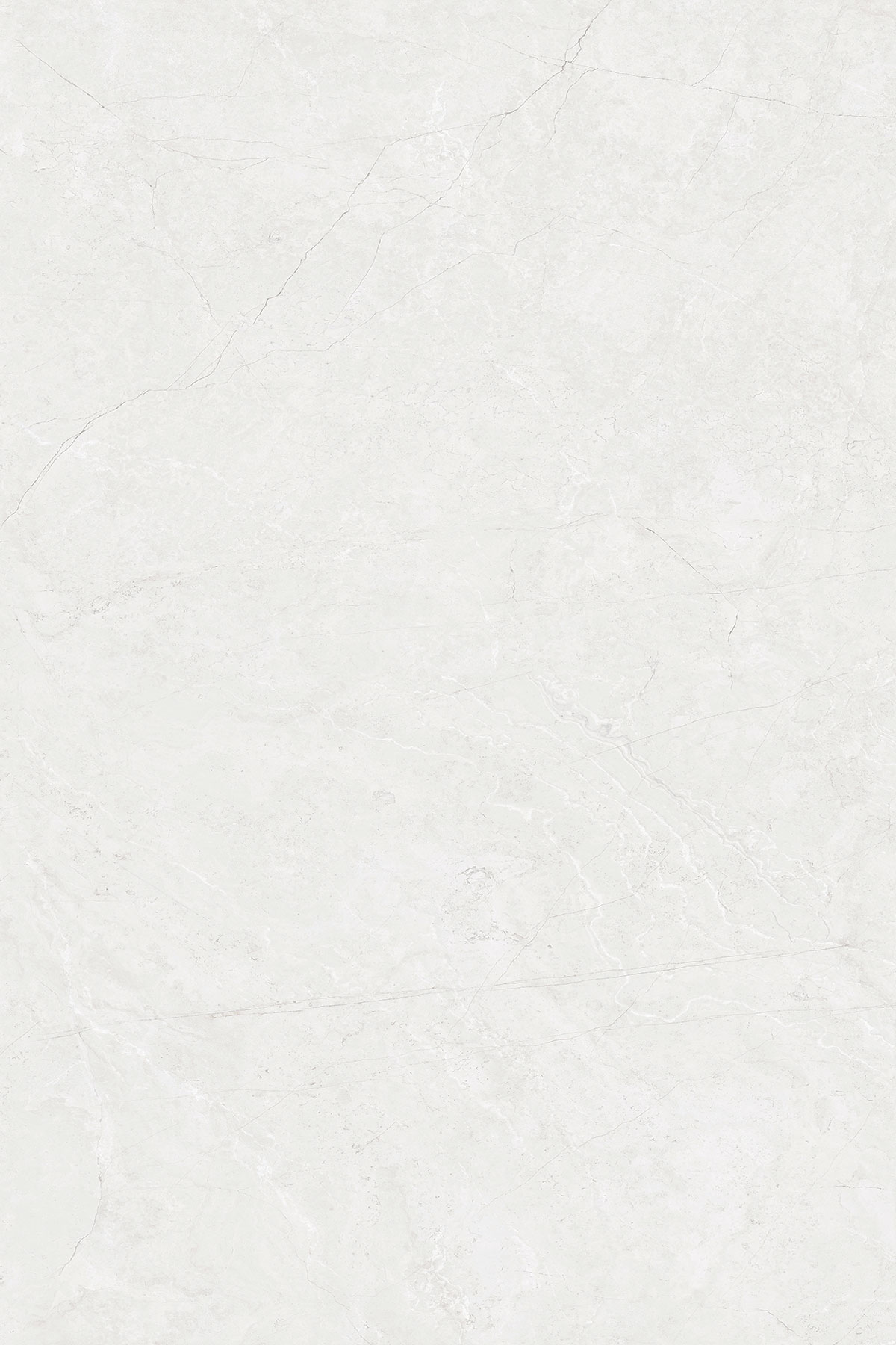 CARDOSIA WHITE