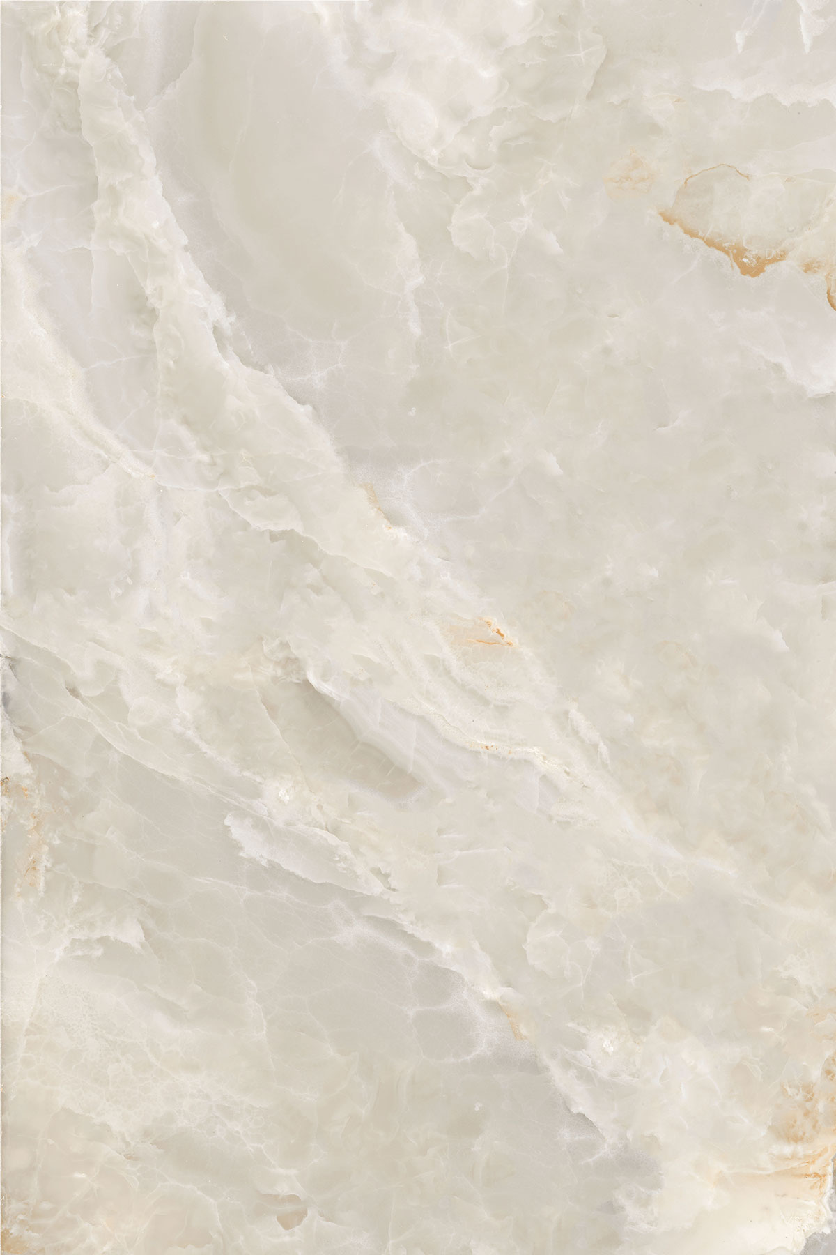 ELEGANT ONYX