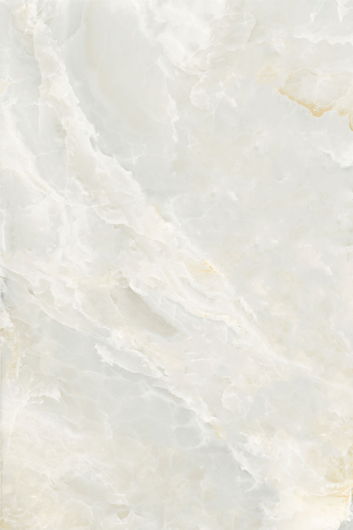 ELEGANT ONYX WHITE