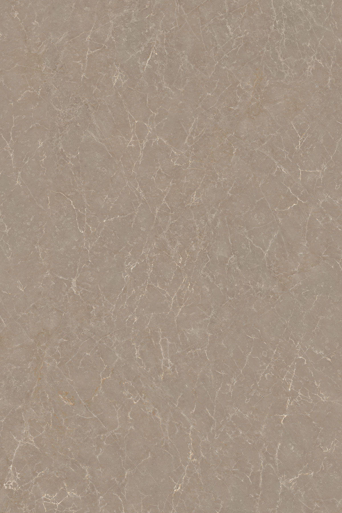 FEON BEIGE