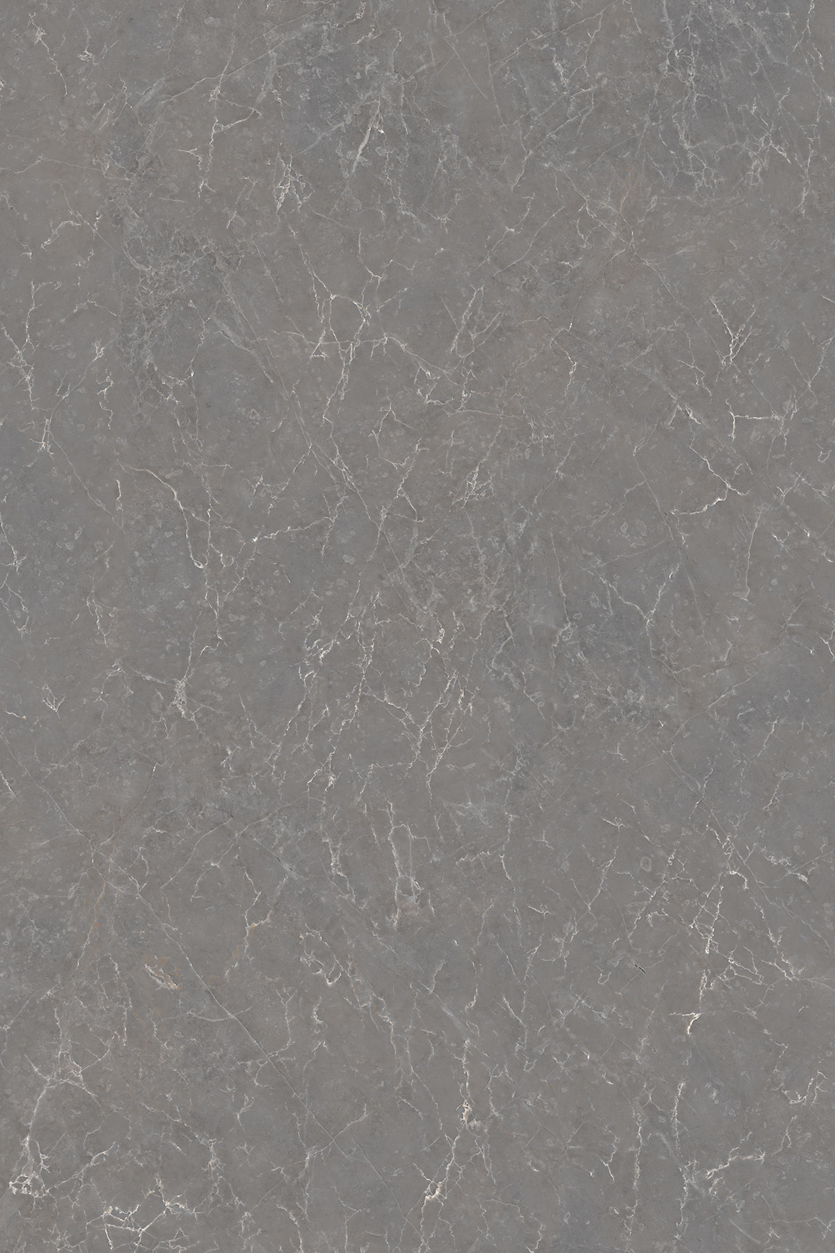 FEON GREY