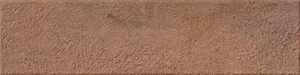 TERRA